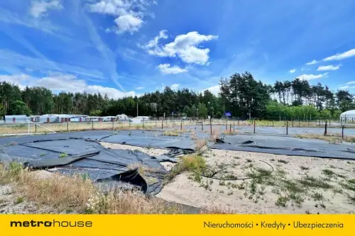 Antonie ,  Mazurska   3