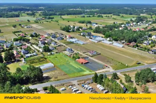 Antonie ,  Mazurska   7