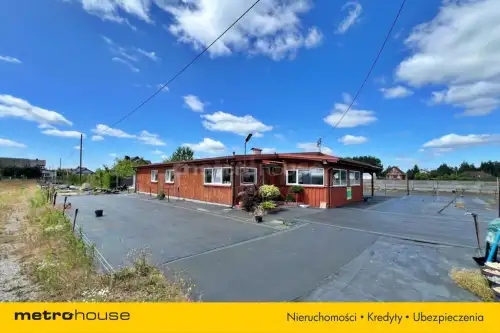 Antonie ,  Mazurska   2