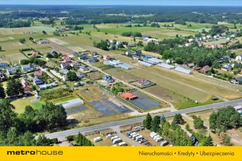 Antonie ,  Mazurska   5