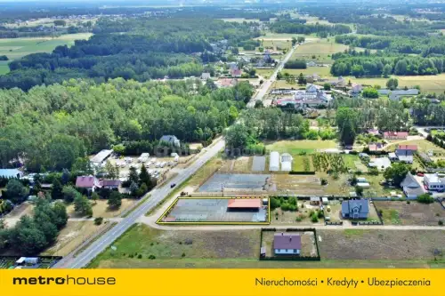 Antonie ,  Mazurska   8