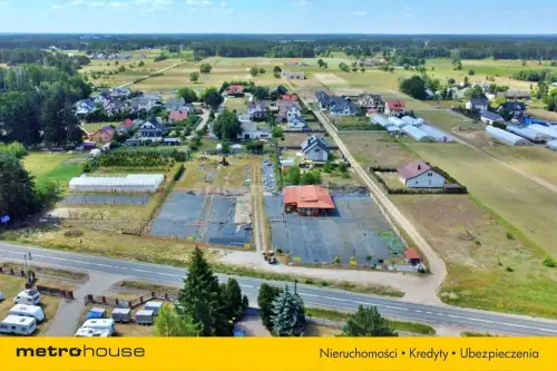 Antonie ,  Mazurska   9