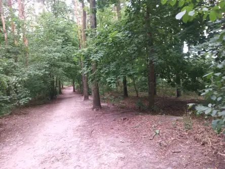 Warszawa ,  Korkowa   10