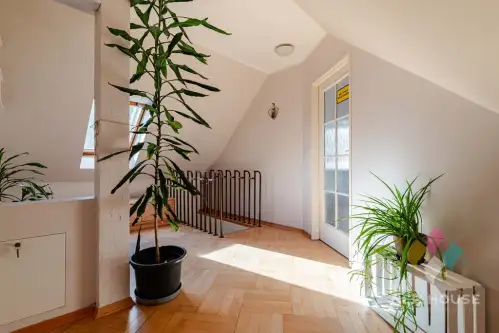 Ostróda ,  Stefana Czarnieckiego   9