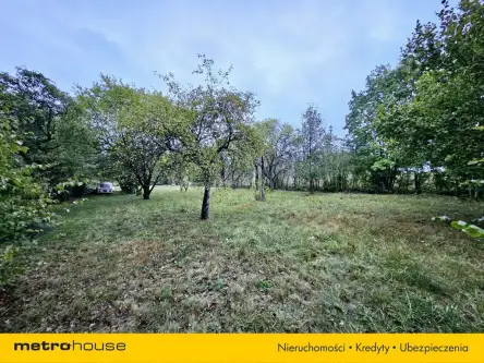 Łódź ,  Ziarnista   2