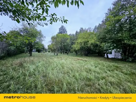 Łódź ,  Ziarnista   5