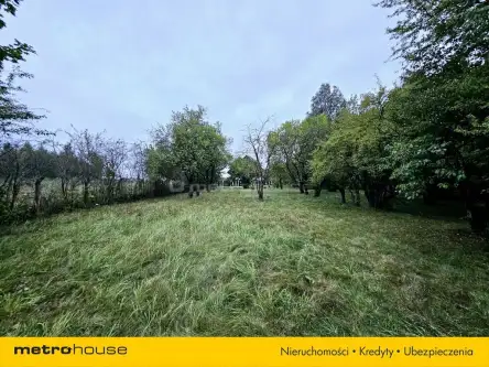 Łódź ,  Ziarnista   7