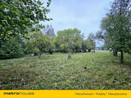 Łódź ,  Ziarnista   8