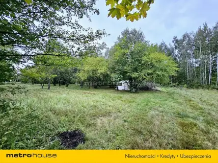 Łódź ,  Ziarnista   9