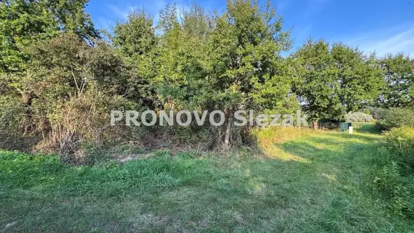  Oborniki śląskie   Morzęcin Mały 