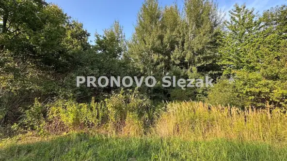 Oborniki śląskie ,  Morzęcin Mały   2