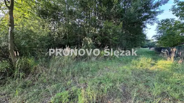 Oborniki śląskie ,  Morzęcin Mały   3