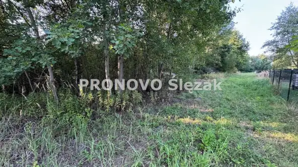 Oborniki śląskie ,  Morzęcin Mały   4