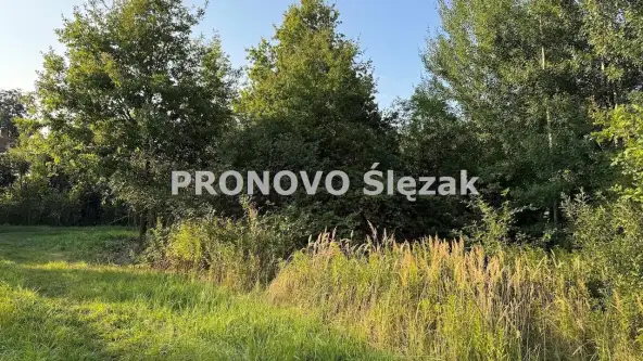 Oborniki śląskie ,  Morzęcin Mały   5