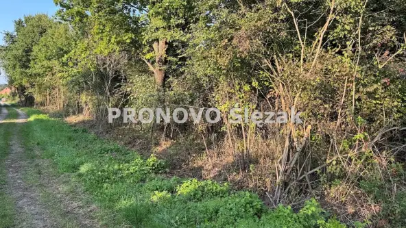 Oborniki śląskie ,  Morzęcin Mały   6