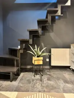 Kłodzko ,  Ptasia   6