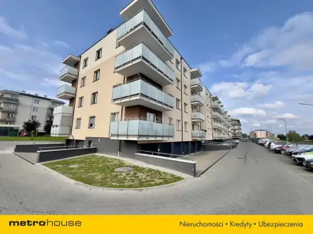 Iława ,  Ziemowita   11