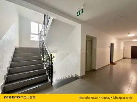 Iława ,  Ziemowita   7