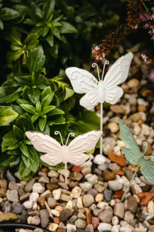 Nowy Sącz ,  Ogrodowa   13