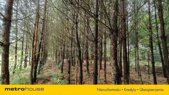 Mława ,  Piekiełko   2