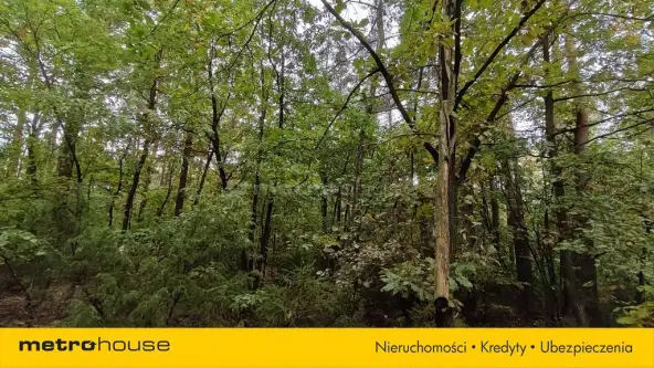 Mława ,  Piekiełko   3