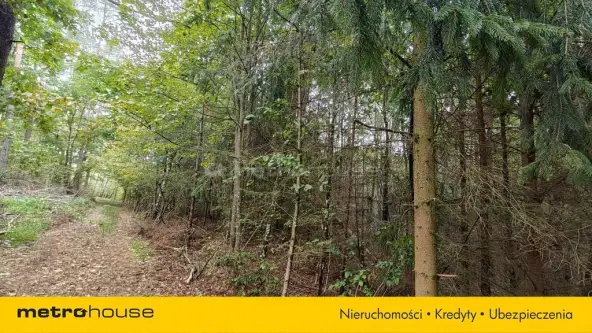 Mława ,  Piekiełko   4