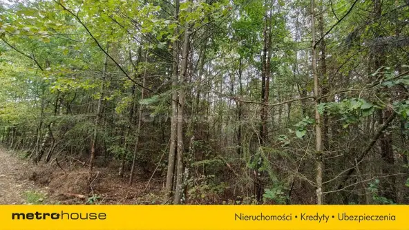 Mława ,  Piekiełko   5