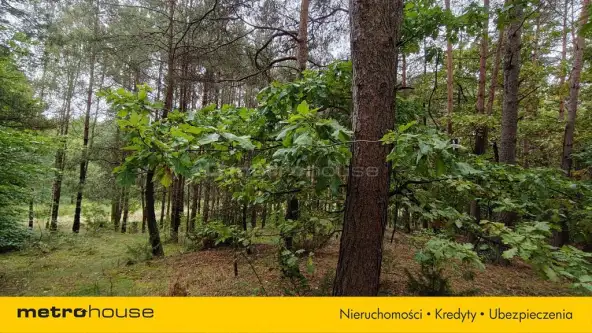 Mława ,  Piekiełko   6