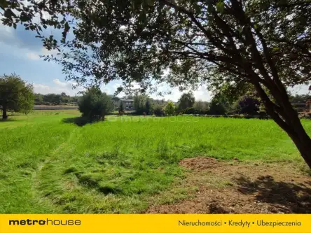 Rybnik ,  Jabłoniowa   7