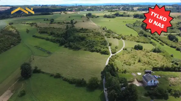 Zalas ,  Na Skotnicę   4