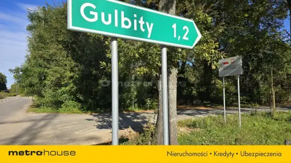 Gulbity   2