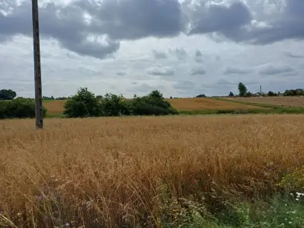 Żukowo ,  Dębowa   4