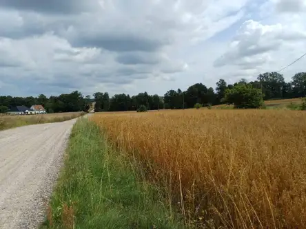 Żukowo ,  Dębowa   9