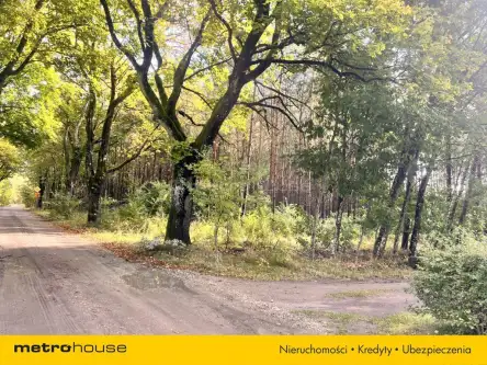 Powałki ,  Polna   10