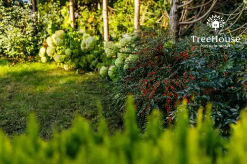 Szczytno ,  Bohaterów Westerplatte   7