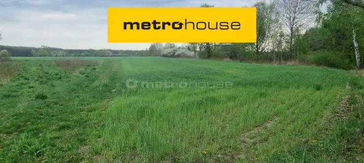  Zakrzewo   Zakrzewo Kościelne 