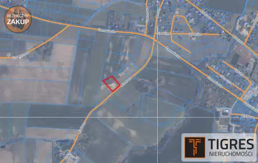 Goszczyno ,  Miodowa   2