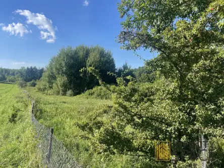 Frombork ,  Jaśminowa   7