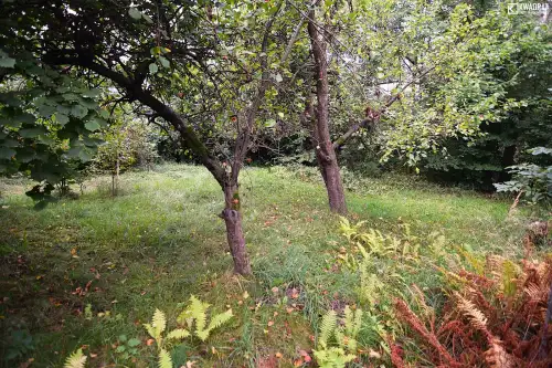 Kurów ,  Puławska   7