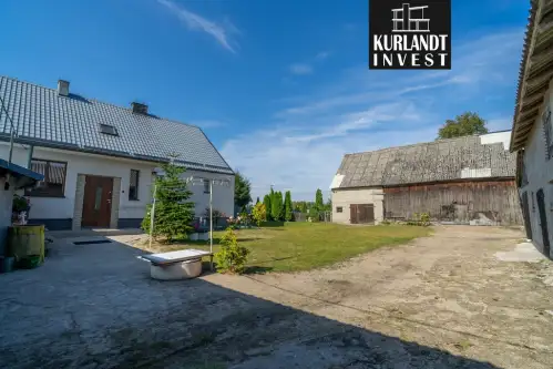 Okoniny nadjeziorne   11