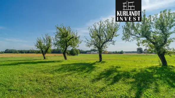 Okoniny nadjeziorne   13