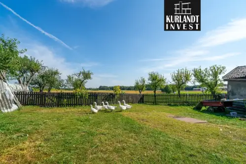 Okoniny nadjeziorne   14