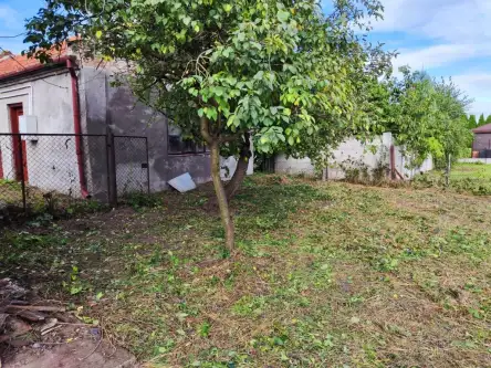 Kazimierza wielka ,  Wesoła   4