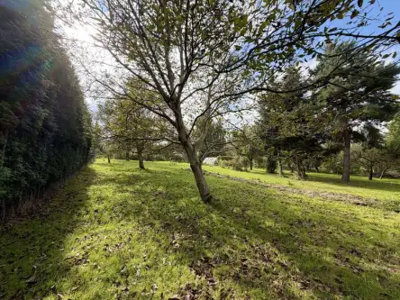 Wieliczka ,  Widok   10