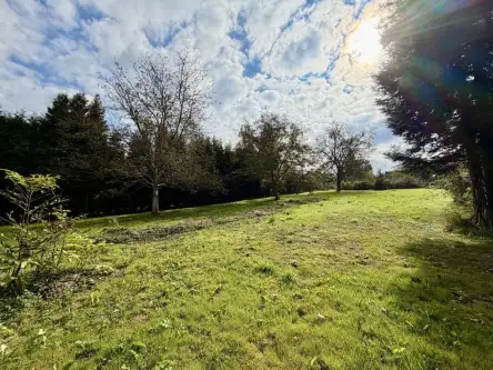 Wieliczka ,  Widok   12