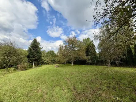 Wieliczka ,  Widok   5