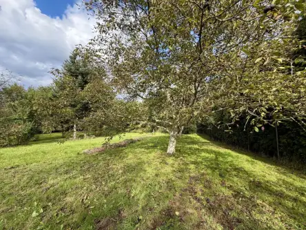 Wieliczka ,  Widok   6