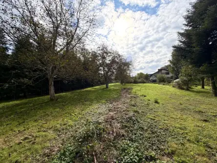 Wieliczka ,  Widok   7