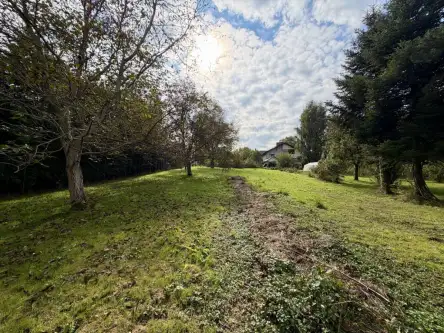 Wieliczka ,  Widok   8