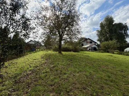 Wieliczka ,  Widok   9